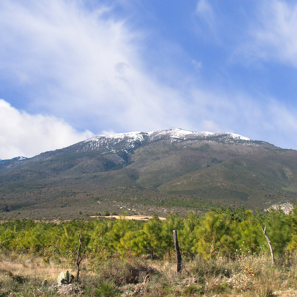 Cerro El Potosí 